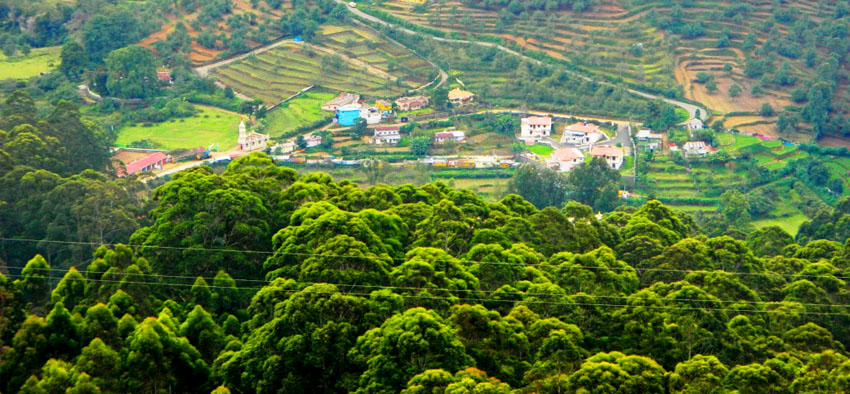You are currently viewing Explore the Enchanting Beauty of Kodaikanal