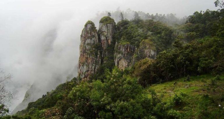 Kodaikanal Honeymoon Tours