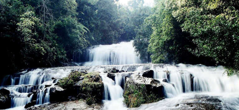 Kodaikanal Village Tour