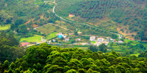 Kodaikanal sightseeing tours