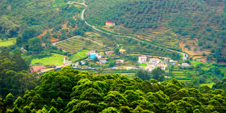 Kodaikanal Thekkady Munnar Alleppey Tours