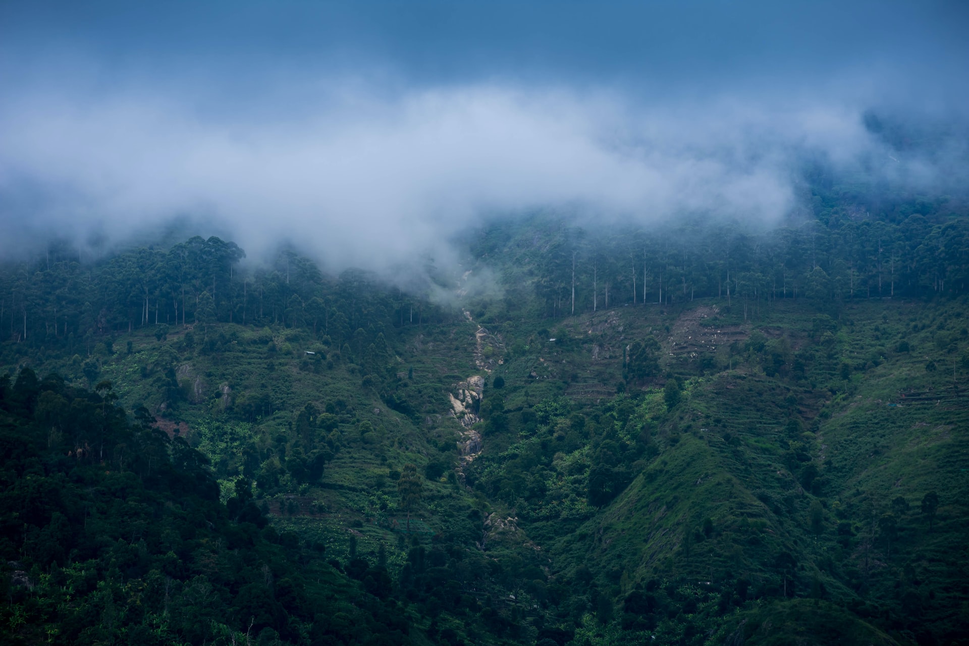 Kodaikanal Tours