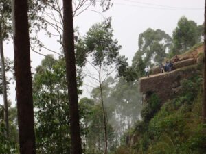 Read more about the article Top 10 Must-Visit Places in Kodaikanal for a Perfect Vacation